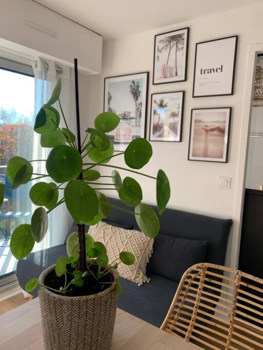 L'Appart 204, Superbe Appartement En Residence Villers-sur-Mer Bagian luar foto